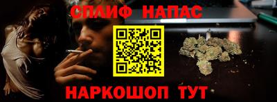 тгк Пенза