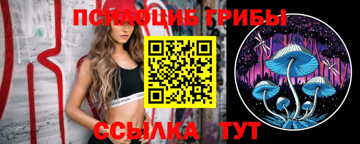 Псилоцибиновые грибы мицелий Сергиев Посад